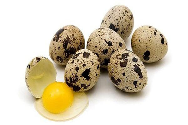 افزایش ناچیز قیمت تخم بلدر چین در غرفه تره بار
