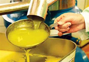 خودکفایی در تولید روغن نباتی در دستور کار وزارت جهاد کشاورزی است