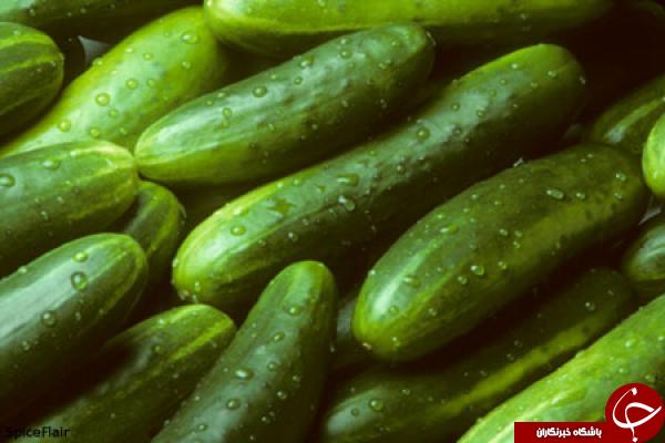 بررسی خواص خارق العاده خیار، آب خیار، تخم خیار و ته تلخ آن