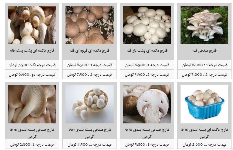 کاهش نسبی قیمت قارچ در بازار