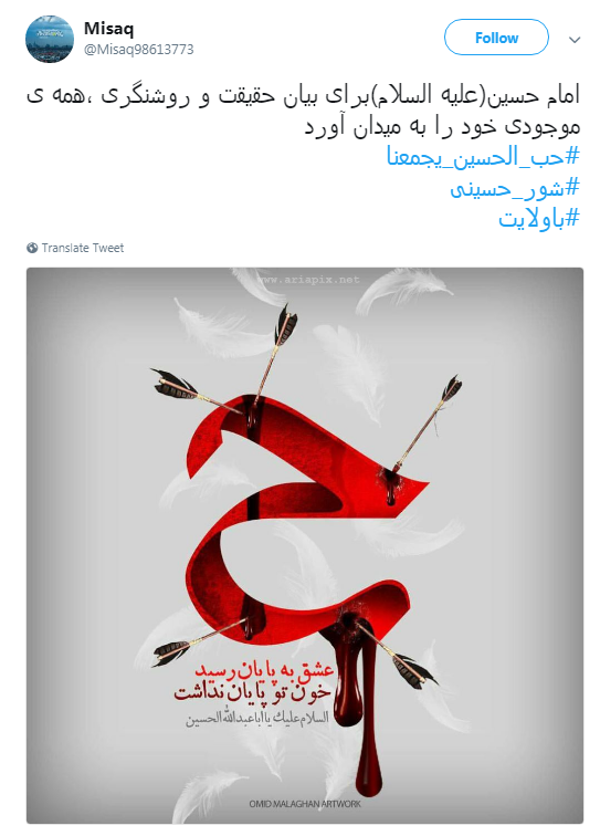 #شور_حسینی در سایه #ولایت+تصاویر
