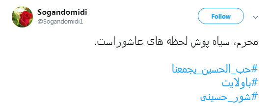 #شور_حسینی در سایه #ولایت+تصاویر