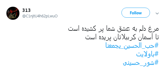 #شور_حسینی در سایه #ولایت+تصاویر