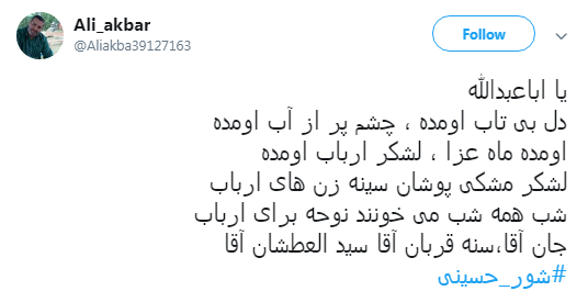 #شور_حسینی در سایه #ولایت+تصاویر