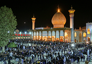 شاهچراغ عزادار اسوه وفاداری، علمدار دشت کربلا+تصاویر