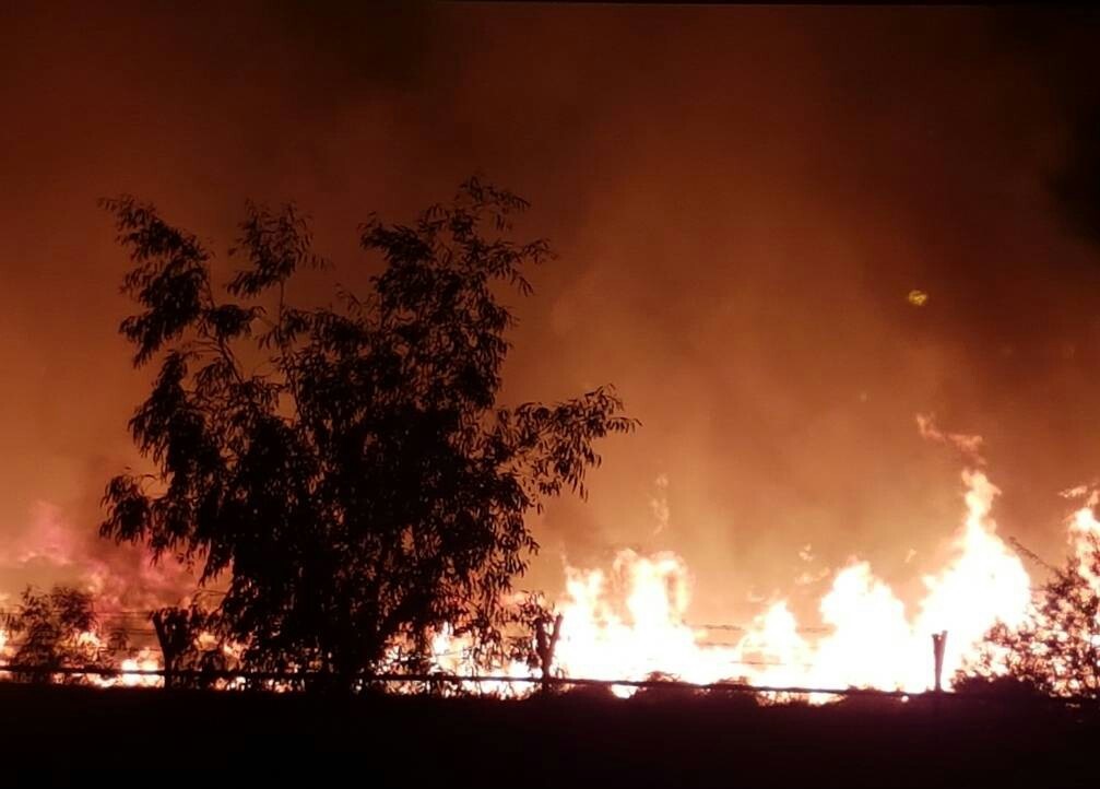 آتش سوزی در حاشیه جاده بوشهر _ بندر عباس