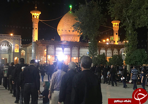 شاهچراغ عزادار اسوه وفاداری، علمدار دشت کربلا