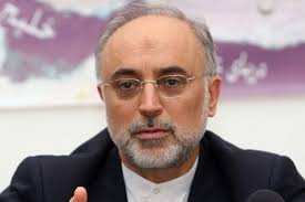 صالحی با رييس کمیسیون انرژی اتمی فرانسه دیدار کرد