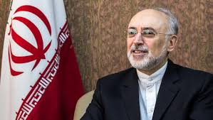 صالحی با رئیس سازمان انرژی اتمی چین دیدار کرد