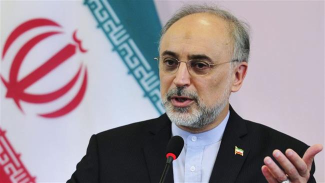 دیدار نماینده انگلیس در گروه کاری بازطراحی و مدرن سازی رآکتور اراک با رئیس سازمان انرژی اتمی کشورمان