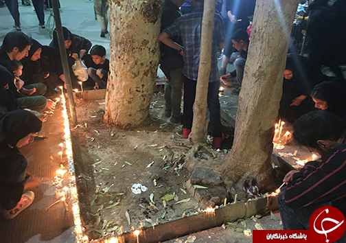 شام غریبان در بقاع متبرکه فارس + تصاویر