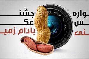 برگزاری نخستین جشنواره عکس بادام زمینی در آستانه اشرفیه