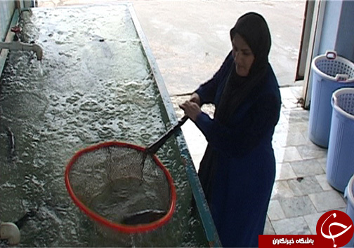 همت بانوی مازندرانی برای انجام سه کار مردانه