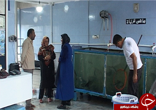 همت بانوی مازندرانی برای انجام سه کار مردانه