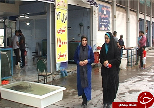 همت بانوی مازندرانی برای انجام سه کار مردانه