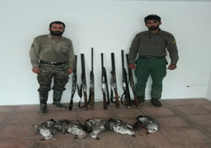 دستگیری شکارچیان غیرمجاز در ۵ شهر مازندران