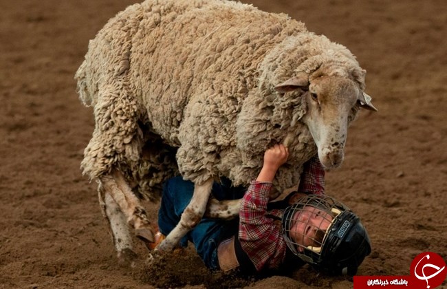 تصاویر روز: