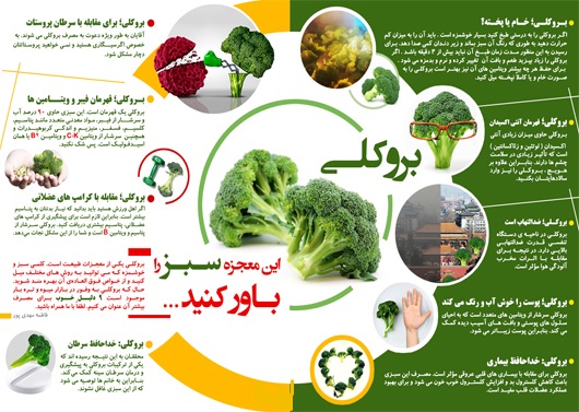 معجزه این گیاه سبز را باورکنید+اینفوگرافی معجزه این گیاه سبز را باورکنید+اینفوگرافی