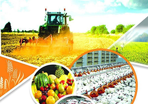 گسترش صندوق‌های شهرستانی حمایت از توسعه کشاورزی