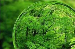 برگزاری رزمایش زیست محیطی در مرند