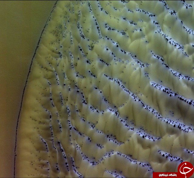 تصویری تماشایی از تغییر فصل در سیاره سرخ