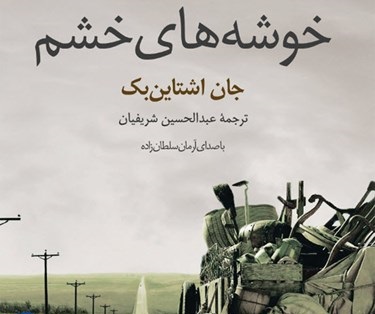 خوشه های خشم را برای ترجمه انتخاب کردم