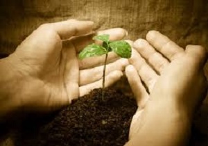 استفاده از ظرفیت خیرین برای حل مشکلات اجتماعی ضروری است