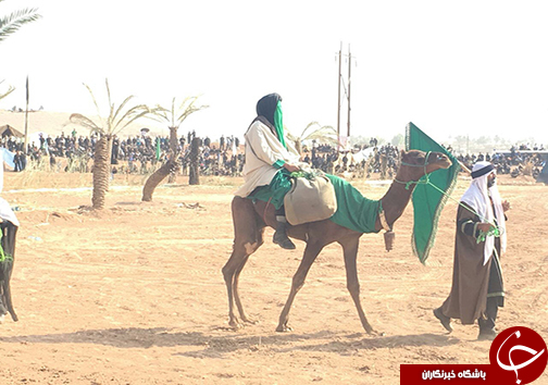 وفادارای حضرت عباس (ع) به امام حسین (ع) /برگزاری بزرگترین تعزیه میدانی کشور در صحرارود فسا