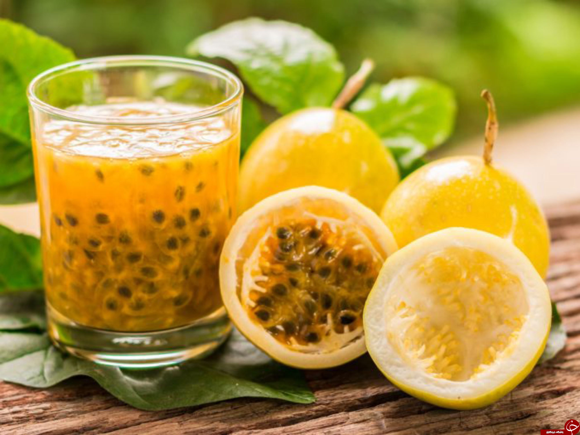 پشن فروت چیست؟ / معرفی خواص درمانی گل ساعتی و میوه آن