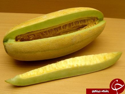 نگاهی به فواید تخم خربزه