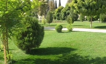 درسال جاری آبیاری فضای سبز شهری اصفهان با تانکر انجام شد
