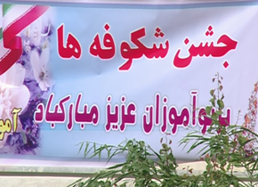 جشن 19 هزار کلاس اولی در زنجان