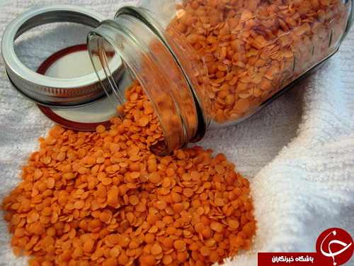 معرفی خواص نهفته در یک عدس قرمز به نام؛ دال عدس +روش پخت آن / انرژی زایی به کمک دال عدس