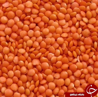 معرفی خواص نهفته در یک عدس قرمز به نام؛ دال عدس +روش پخت آن / انرژی زایی به کمک دال عدس