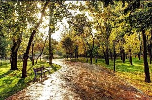 آغاز پائیز با افزایش دما در گیلان