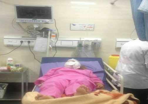 گرگ ۶ نفر را در شهرستان قزوین مجروح کرد+ عکس