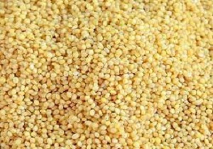 بهره برداری از اولین مرکز خانه های کوچک پناهگاهی معلولان ذهنی در هفته دولت 