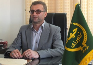 کشت مجدد نشا در ۱۱ هزار هکتار زمین های کشاورزی آمل