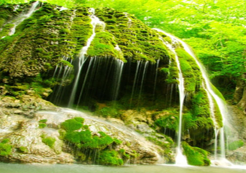 جنگل های بکر پاسند مقصد گردشگران داخلی و خارجی