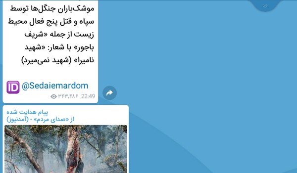 آتش زدن جنگل های مریوان کار چه کسی بود؟