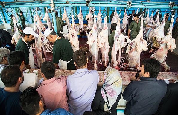 ۹۴۵ بازدید از مراکز عرضه و ذبح دام در روز عید قربان