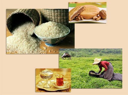 لاهیجان؛ شهری به زیبایی عروس و ماندگاری تاریخ