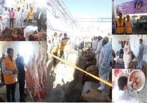 اجرای طرح کنترل نظارت بهداشتی و شرعی ذبح دام در روز عیدسعید قربان