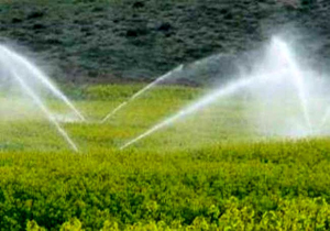 افتتاح و کلنگ زنی ۳۳ طرح کشاورزی در شاهین دژ