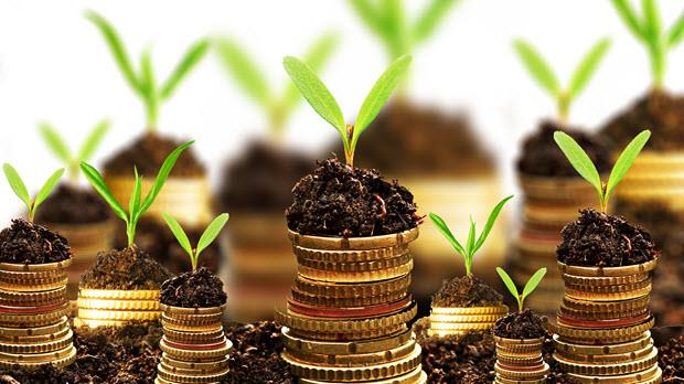 چرا سهم ایران از تجارت جهانی ۱۰۰ میلیارد دلاری گیاهان دارویی ناچیر است؟