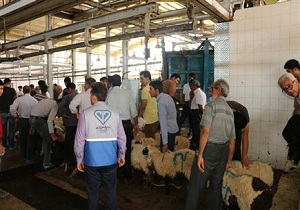 بازرسی بیش از ۷ هزار لاشه دام نذری در عید قربان