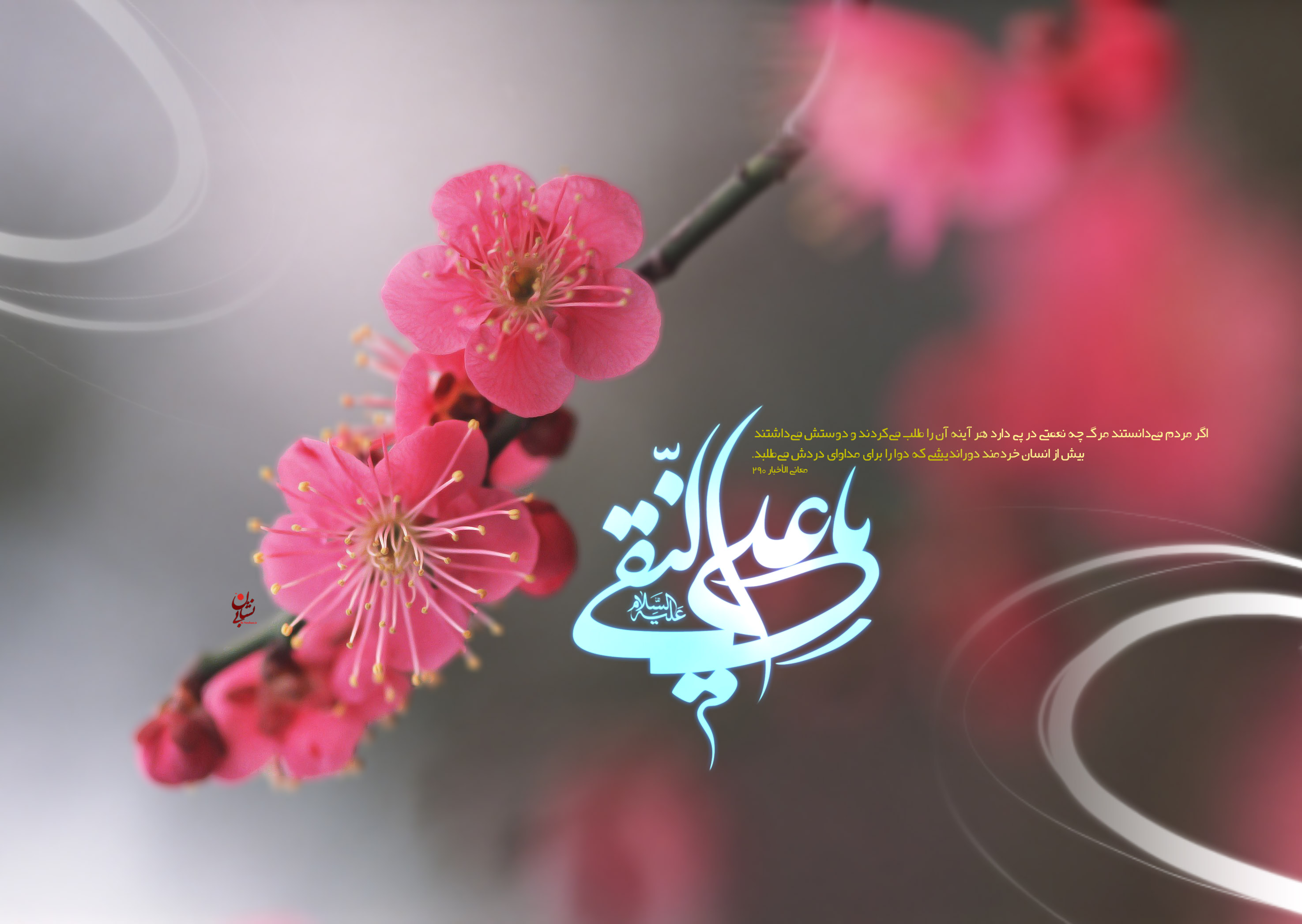 عکس نوشته های زیبا و جدید به مناسبت ولادت امام هادی (ع)