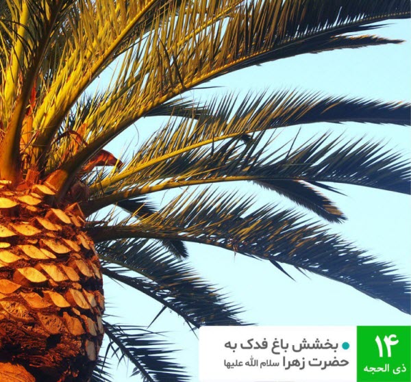 بخشش باغ فدک به حضرت زهرا(س) بخشش باغ فدک به حضرت زهرا(س)