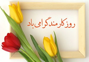کارمندان نمونه شبکه بهداشت و درمان شهرستان خاتم تجلیل شدند
