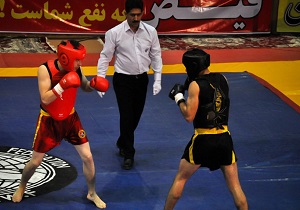 کسب چهار نشان رنگارنگ مسابقات قهرمانی ووشو